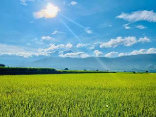 關山稻香田園民宿 - 4