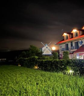 關山稻香田園民宿 - 3