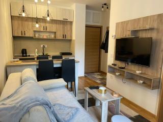 Apartment Teodora 4 ZVEZDICE-minimum 3 nocenja za rezervaciju - Zlatibor - 5