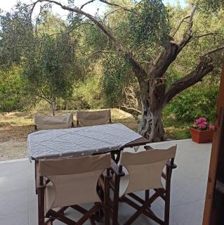 Andreas Apartments - Agios Georgios Pagon - 7