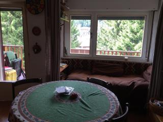 Appartamento Elena - M. di Campiglio - 4