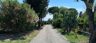 Masseria Brica Rossa - 2