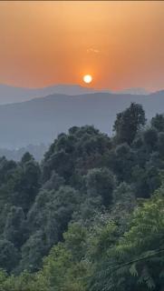 BURANS VILLA - 8