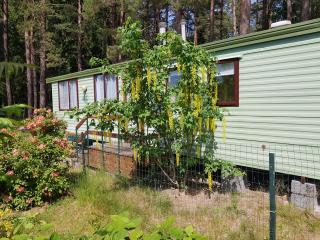 Beautiful holiday home near the pine forest - 7
