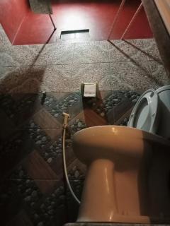 Tangkoko Ranger Homestay - Bitung - 8