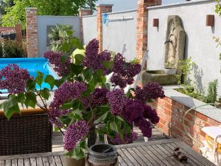 Alte Schmiede mit Sauna, Pool und Whirpool im Außenbereich schönstes Ferienhaus der Lausitz - 2