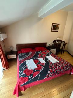 Hotel Royal - Bijelo Polje - 8