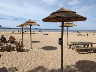 200m de la plage Bungalow LUXE de 44m2 Ménage et draps inclus Camping 5 Etoiles Mayotte Lac Biscarrosse Koyobalys - Biscarrosse - 1