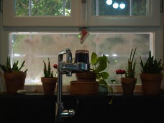 Olga's Cozy home - 3