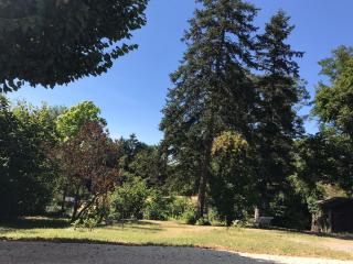Charmant F1 avec terrasse et vue sur jardin arboré - fraicheur naturelle du rez de jardin - parking - Bellerive-sur-Allier - 5