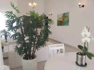 Morada da praia - casa - 1