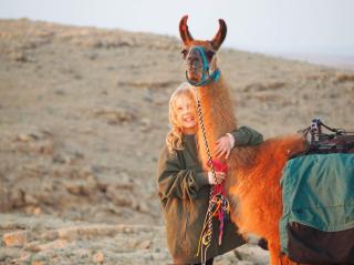 Alpaca Farm - חוות האלפקות - Mitzpe Ramon - 6