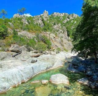 Superbe appartement Corte - 4