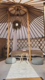 Glamping Iurte Mongole Spiritul Zimbrului - Vama Buzăului - 5