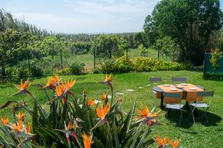 Like-Home-T3 House-garden, sea view, beach - 9