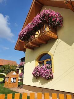 Žltý dom Vrbov - Vrbov - 3