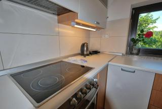 Počitniška hiša Miklavčič Primorska - 4