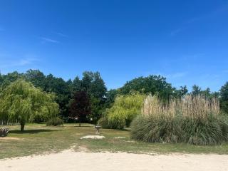 LA PAMPA - Lamotte-Beuvron - 8