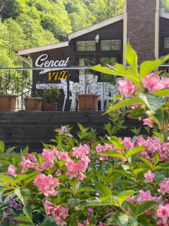Ayder Gencal Villa - 9
