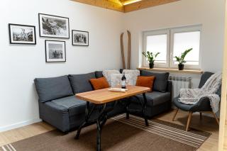 Podhalańska Ostoja Apartament - Biały Dunajec - 8
