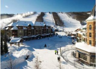 Freshly Upgraded Cozy Loft @ North Creek Resort - Blue Mountains - 8