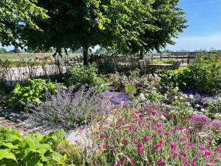 Hestar Husid, het luxe paardenhuis - 2