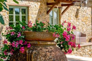 Podere Figlinelle - Starda - 7