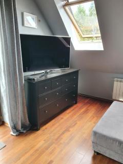 Apartament STUDIO i Apartament ZADOMEK Spytkowice koło ZATORA - Spytkowice - 1