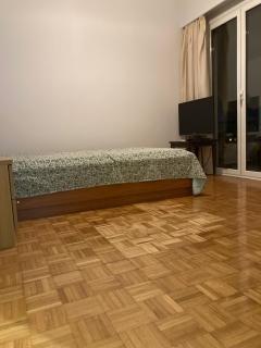 Panteios apartment - Atene - 2