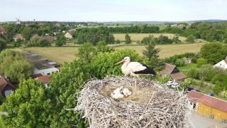 Pivovarský hotel - 6