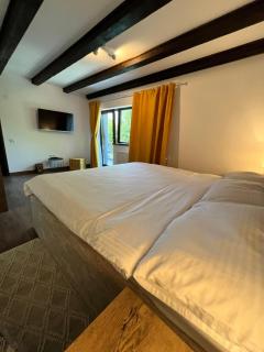 Cabana din Pădure - Porumbacu de Sus - 3