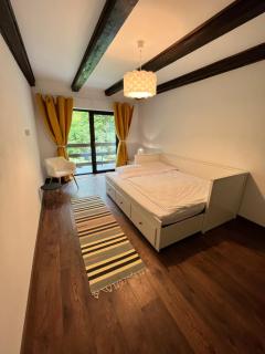 Cabana din Pădure - Porumbacu de Sus - 2