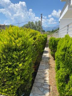 Vila Llaman - Himare - 8