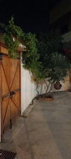 Lemon Tree Courtyard - 5