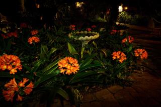 Avondrust Guest House - Graaff-Reinet - 4