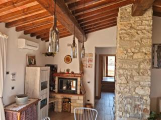 Podere I Ripidi - Vicchiomaggio - 7