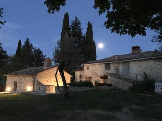Podere I Ripidi - Vicchiomaggio - 6