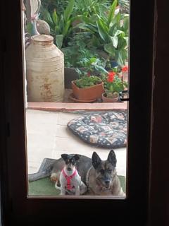 Casa Rural Santa Ana - 7