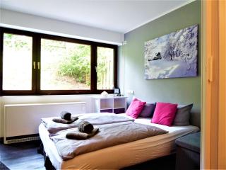 Harmony Winterberg Ferienwohnung 4 Pers Wifi Terrasse am Bikepark - Winterberg - 9