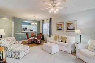 Oyster Catcher 1421 - 7