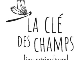 Gîte de charme avec jardin, terrasse et poêle à bois en pleine nature - FR-1-496-250 - Sevelinges - 9