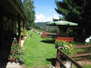Apartmány Vydrýsek - Srní - 5