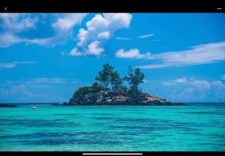 Royale Self Catering Apartments - Anse Royale - 4
