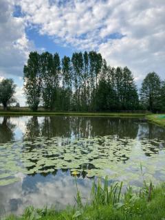 Domek nad stawem - 7