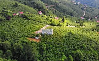 Luxury Nature Life Villa - Trabzon - 9