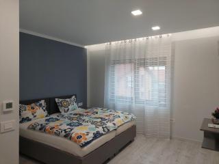 Blue Central House, curte proprie - 2