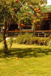 Trogirsunset Apartments - Trogir - 5