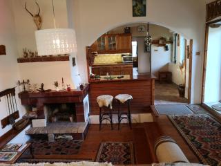 Country house Horné Držkovce - Horné Držkovce - 8