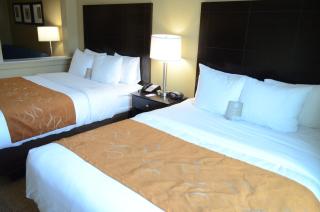 Comfort Suites Northwest - Cy - Fair - Houston - 3