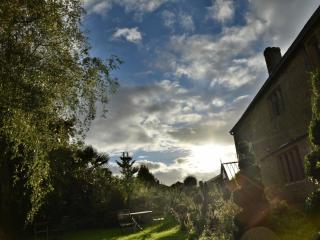 Lower Severalls Farmhouse - 5